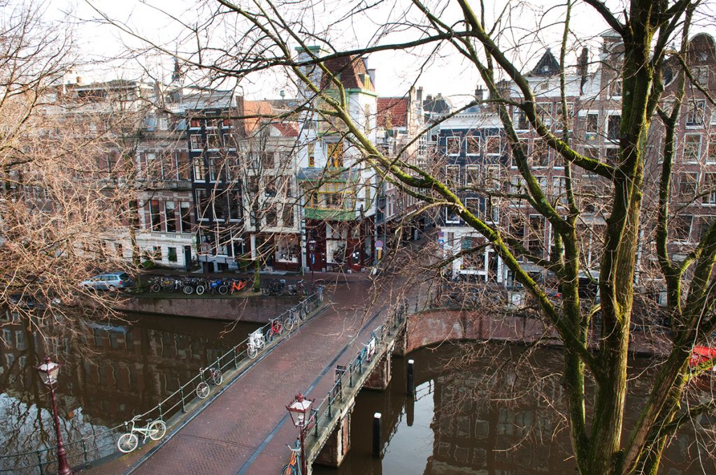 View New_3922_website