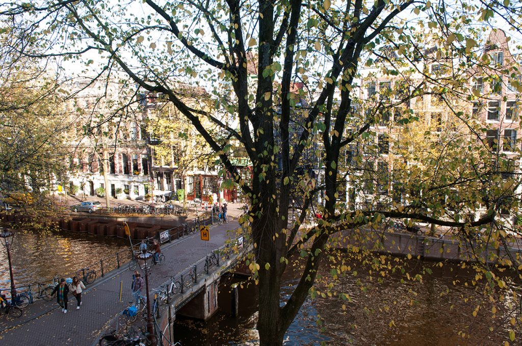 Second floor view.